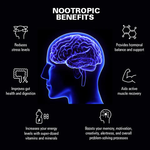 Nootropic Brain & Focus Formula